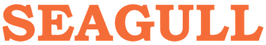 Seagull